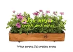 אדנית עץ מלבנית איכותית פרימיום - דגם B0
