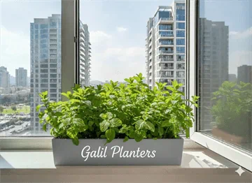 אדניות הגליל Galilee Planters-אדנית מלבנית 60 ס"מ אפורה על רקע סביבה אורבנית
