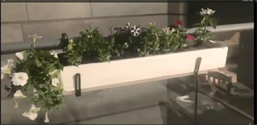 אדניות הגליל Galilee Planters-אדנית מלבנית 60 ס"מ מעקה מרפסת