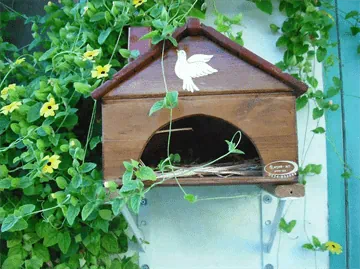 אדניות הגליל Galilee Planters-שובך לזוג יונים בתוך רקע צמחיה מטפסת