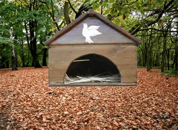 אדניות הגליל Galilee Planters-תיבת שובך לזוג יונים על רקע יער