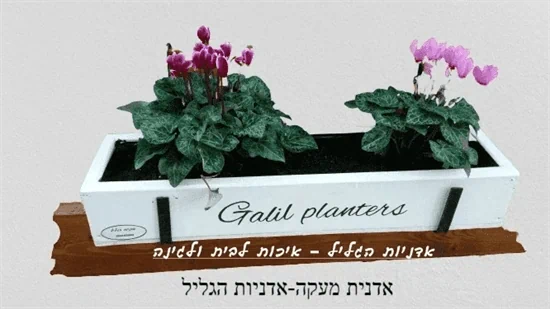 אדנית מעקה פרימיום – עיצוב ותלייה בסטנדרט בוטיק.  אדניות עץ סידרה B0